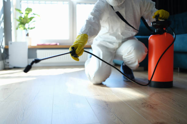 Affordable Unattended Death Cleanup solutions in Maeystown, IL
